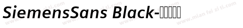 SiemensSans Black字体转换